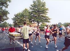 [photo, Annapolis Striders' 10-Mile Run, Rowe Blvd., Annapolis, Maryland]