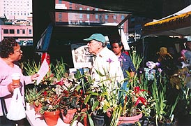  [photo, Baltimore Farmers' Market, Holliday St. and Saratoga St., Baltimore, Maryland]