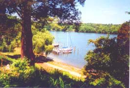 [photo, Sailboats docked on St. Leonard Creek, Calvert County, Maryland]